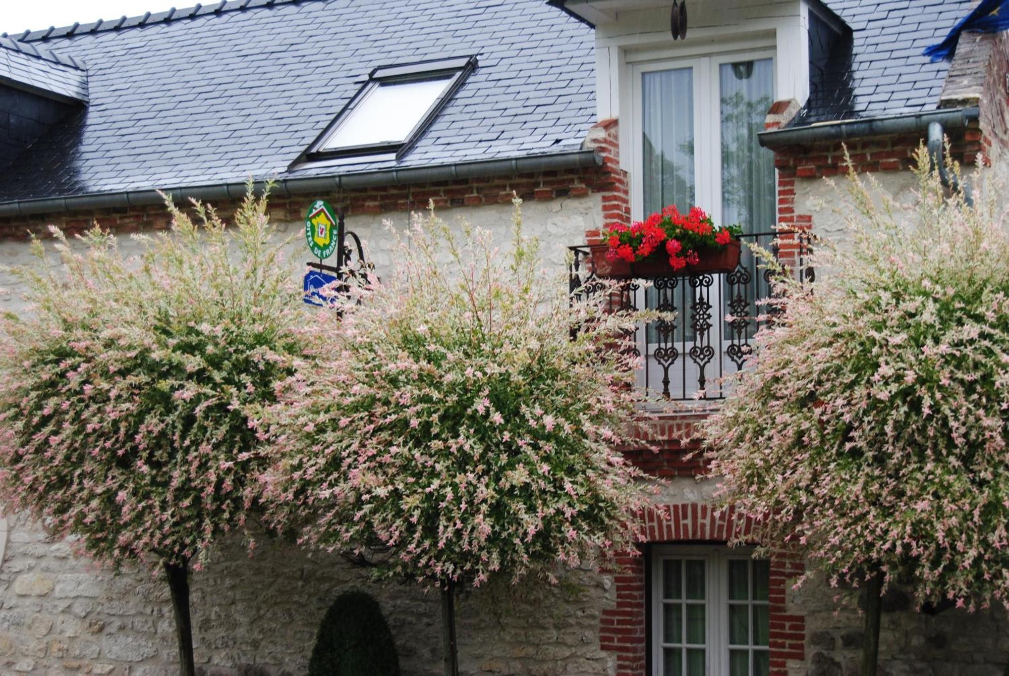 Le Grand Logis - Guest House - Bed And Breakfast Marchais  객실 사진